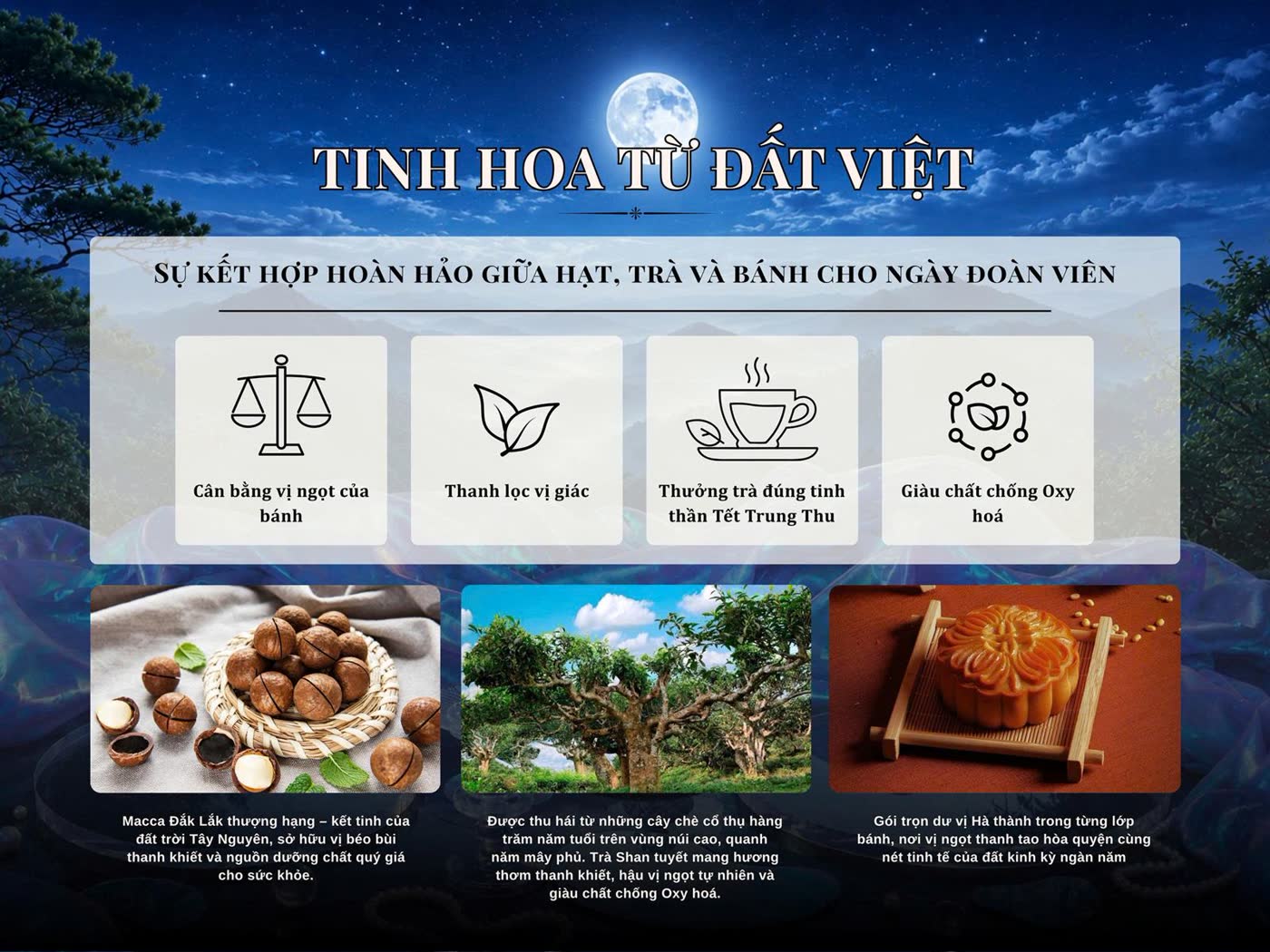 Bánh nướng, trà Shan tuyết và hạt Macca — tinh hoa từ đất Việt